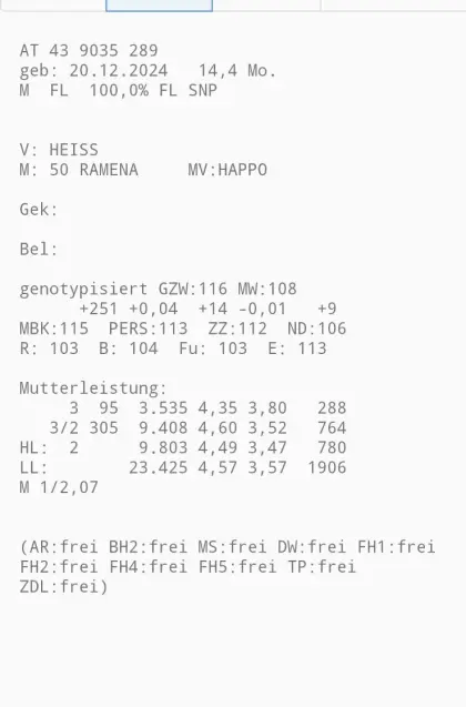 Fleckvieh Zuchtstiere