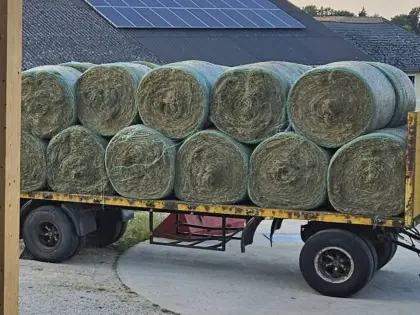 Grummet - 2. Schnitt