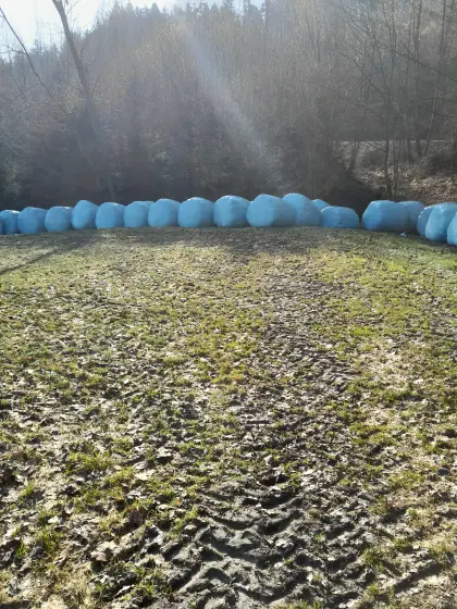 Silageballen
