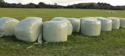 Siloballen zu verkaufen
