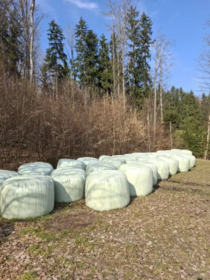 Silageballen 6. Schnitt 2025