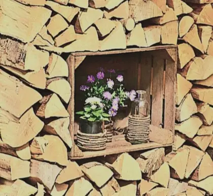 Brennholz, Hartholz, Buche