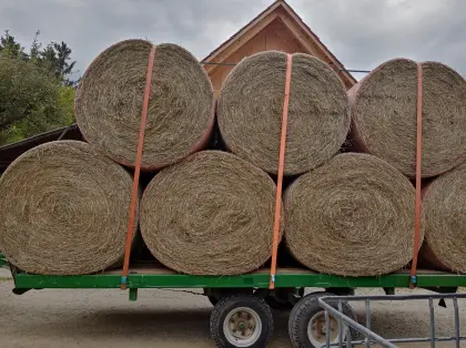 Bio-Heuballen, 22 Cent/kg