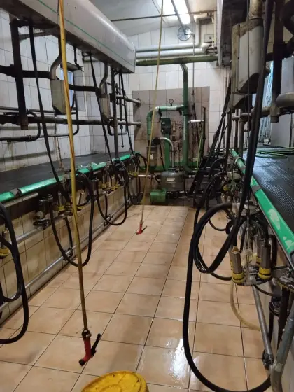 GEA Westfalia Melkstand Doppel 4er