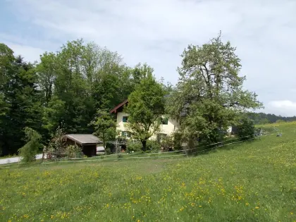 2 ha Grünland zu vergeben, Pacht, Miete