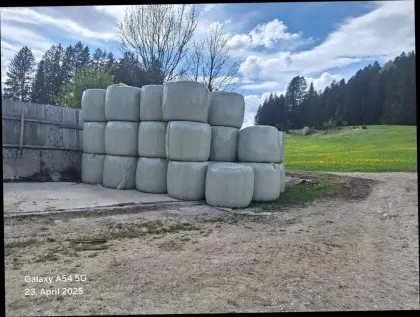 Siloballen Abzugeben