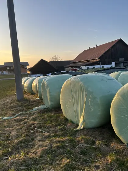 Siloballen, Silageballen