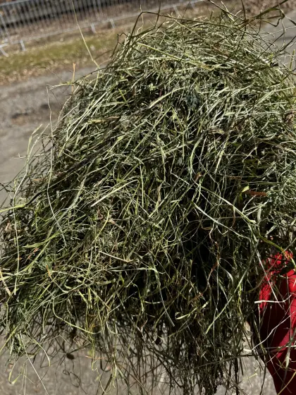 Heu und Grummet Rundballen belüftet