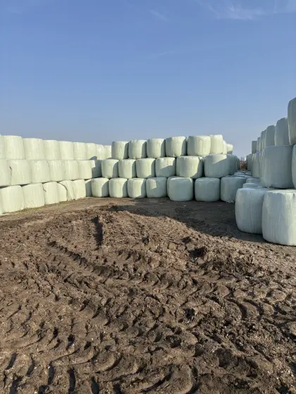 Bio-Silageballen, Heulage