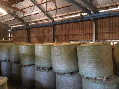 Heu 1. und 2. Schnitt