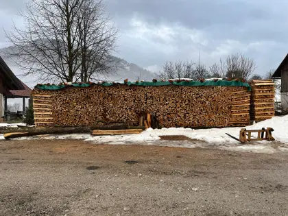 Buchenscheiter 1 m, 2 Jahre, trocken