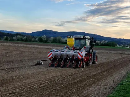 Einzelkornsaat Mais, Soja, Sonnenblumen, Rüben