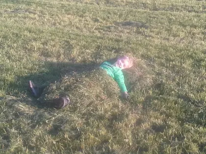 Suche Pachtgrund, Nutzgrund