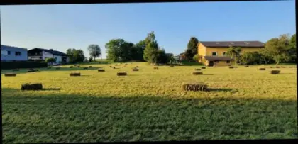 Heu in Kleinballen, 2. Schnitt