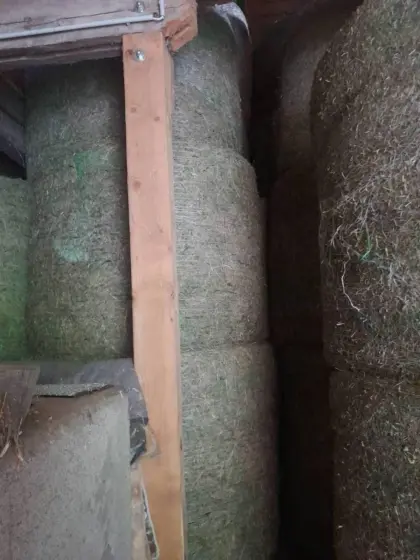 Heu und Grummet, Ballen