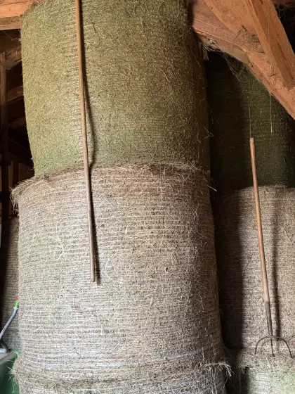 Bio-Heuballen Grumetballen 2. Schnitt