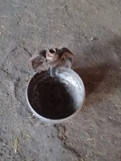 Selbsttränker