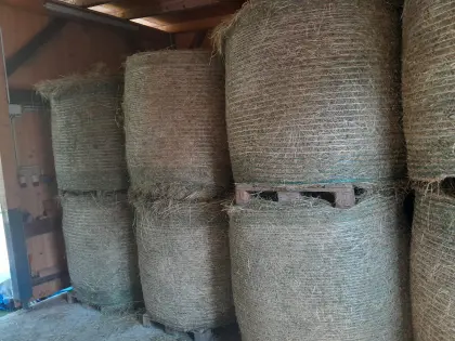 Heuballen 1. Schnitt 2025