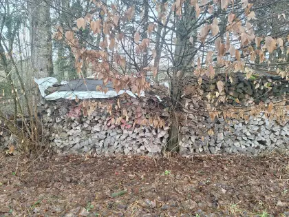 Eschen-Scheitholz Brennholz