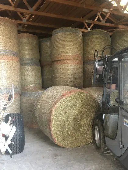 Heuballen Sommer 2025, 130cm, 20 Stk.