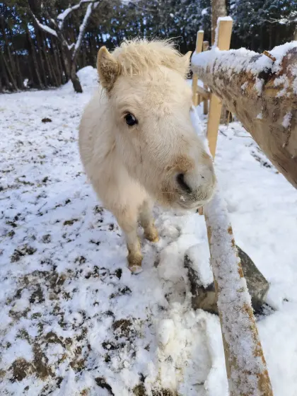 Suchen kleine Landwirtschaft