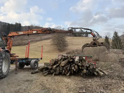 Holzanhänger Kran Holzkran Kranwagen