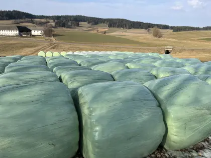 Silageballen
