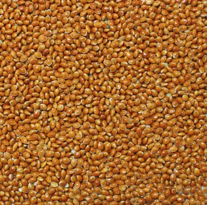 Bio Braunhirse Demeter