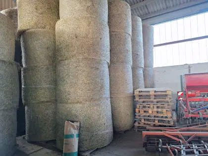 BIO Luzerneheu, Kleeheu, Luzerne, Heu