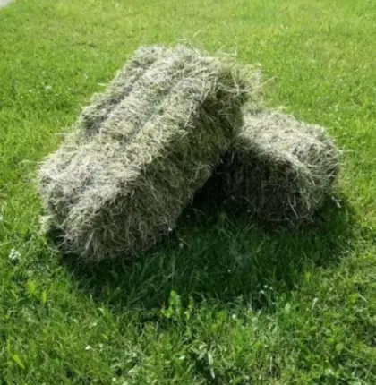 Kleine Quaderballen 2. Schnitt