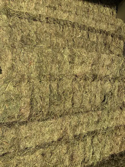 Trocknungs-Bio-Heu in Quaderballen