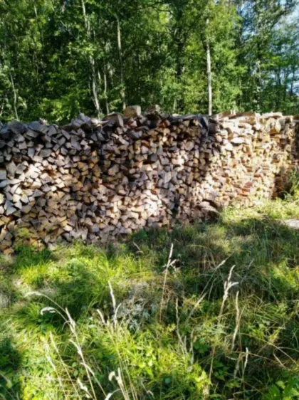 Brennholz, Scheitholz