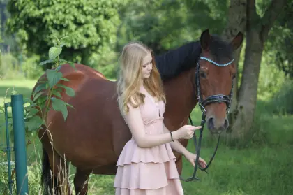 Polnisches Pony, 14 Jahre
