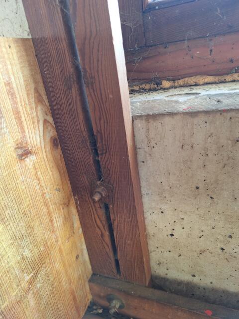 Tränke mit Hochdruck-Schwimmerventil für Schafe/Ziegen