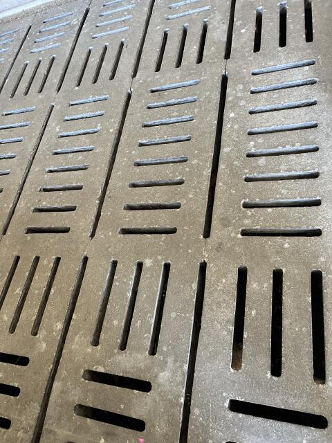 Max Lochboden Rinderspalten