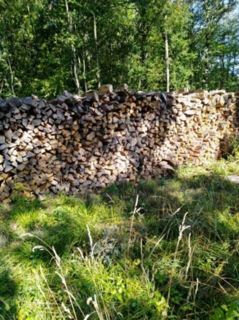 Brennholz, Scheitholz