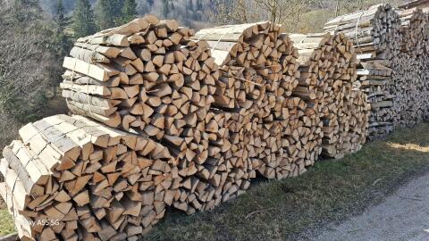 Buchenbrennholz