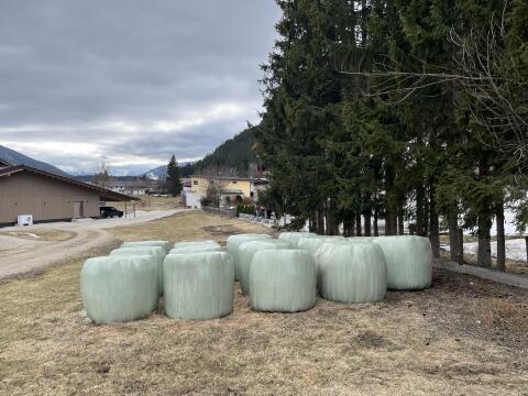 Siloballen zu verschenken