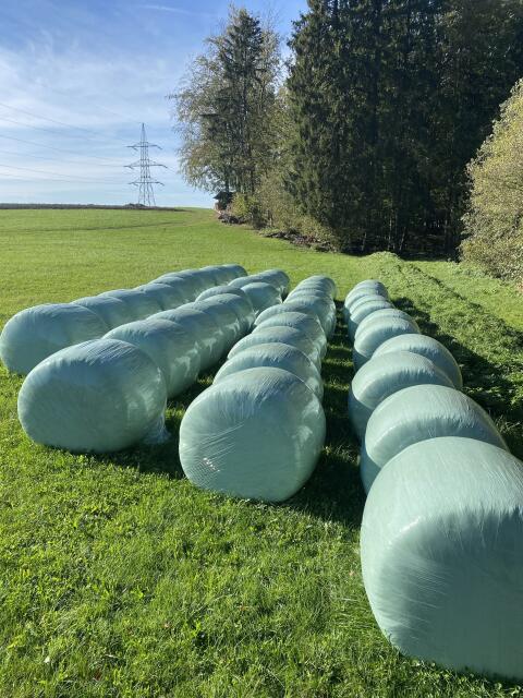 Maisballen