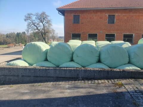 Silageballen 3. und 4. Schnitt 2025. 100% Ampfer frei.
