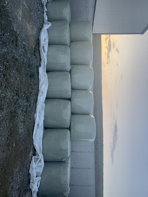 Bio Luzerne Silageballen