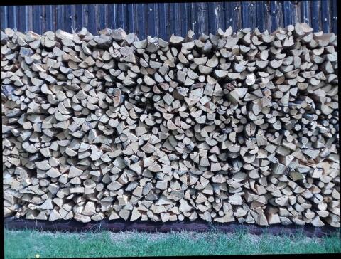 Brennholz frisch