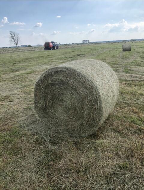 Heu Rundballen