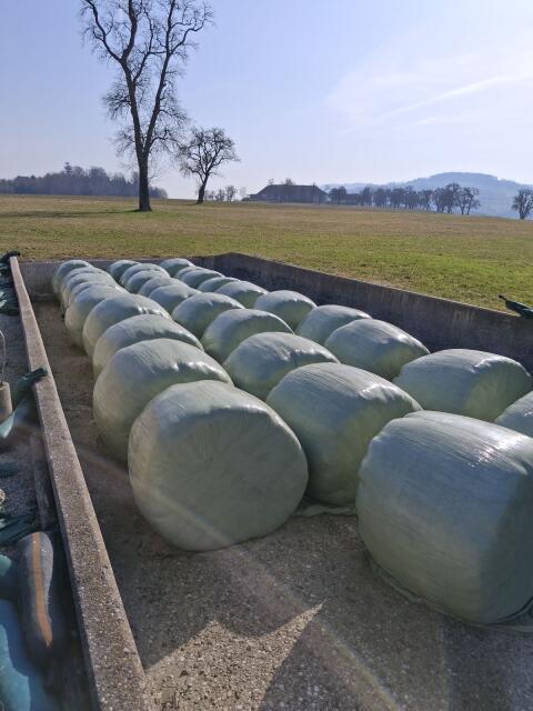 Siloballen 2. und 3. Schnitt