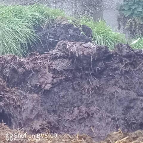 Mist gegen Strohballen
