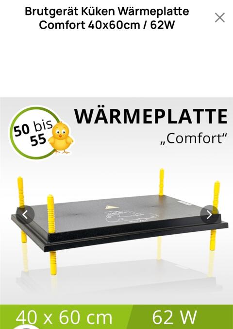 Küken Wärmeplatte