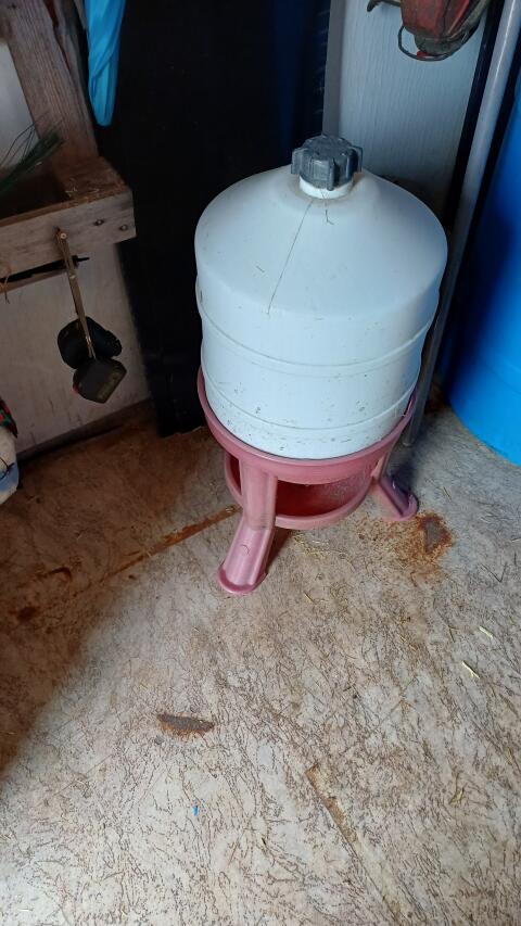 Wassertränke