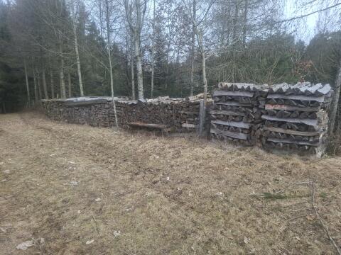 Brennholz hart