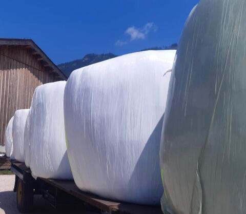 Siloballen ca. 1,35-1,4 m