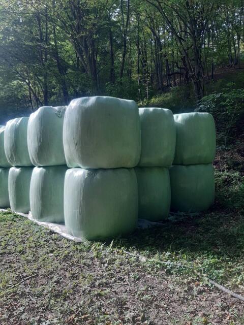 Heulage Rundballen